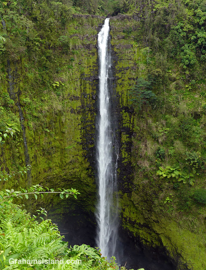 Akaka Falls in Hawaii