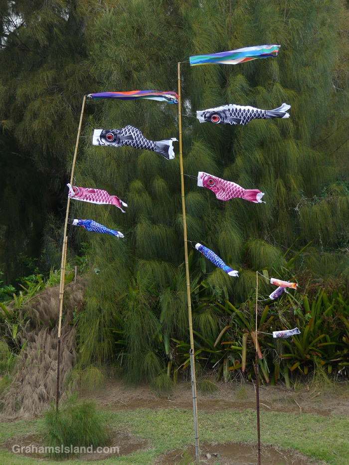 Windsock flown at Hawi Jodo Mission in Hawii