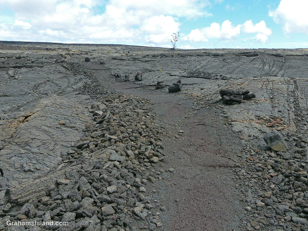 A Trail over Pahoehoe lava on the Big Island of Hawaii