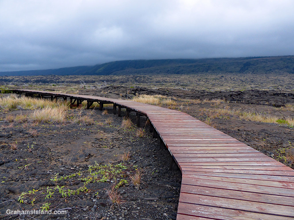 A Walkway over lava on the Big Island of Hawaii