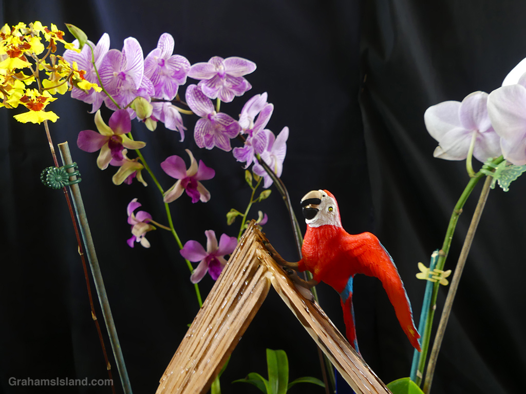 A Bird ornament at the HIlo Orchid Show in Hawaii