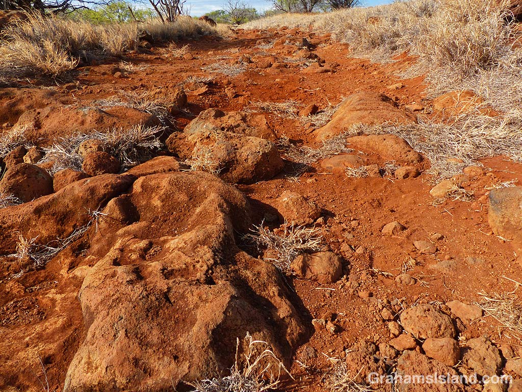 A dirt road at Kaiholena, Hawaii