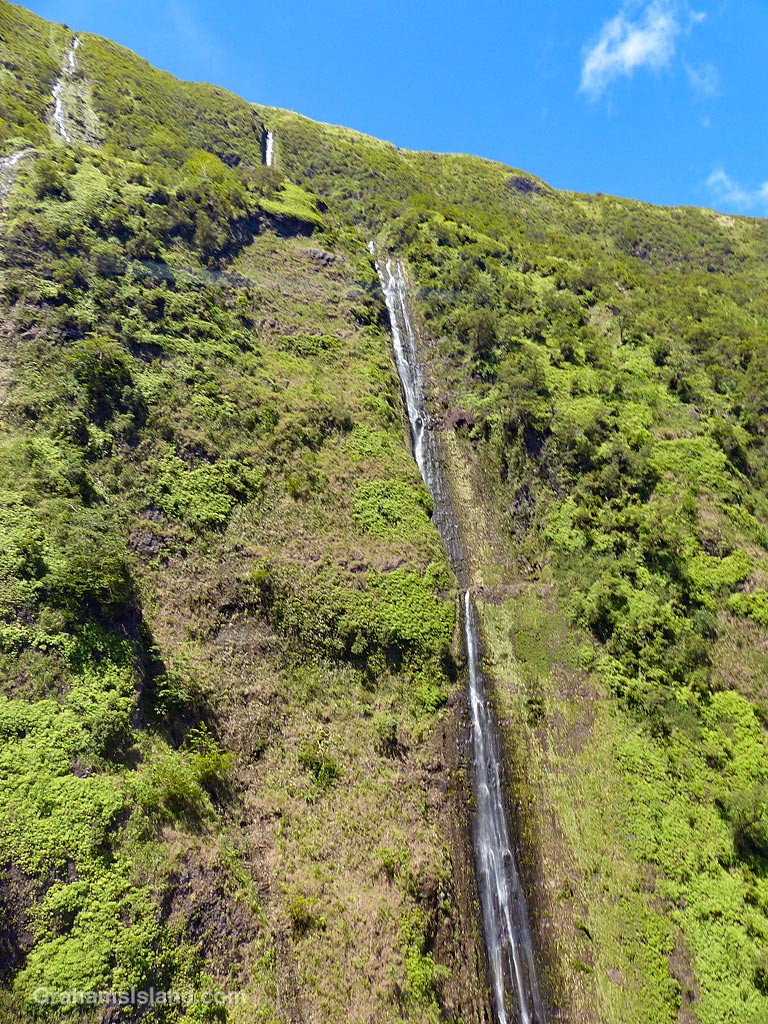 A view of a waterfall on the North Kohala coast, Hawaii
