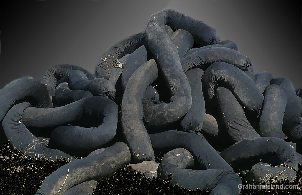 Black straw-filled tubes in Hawaii