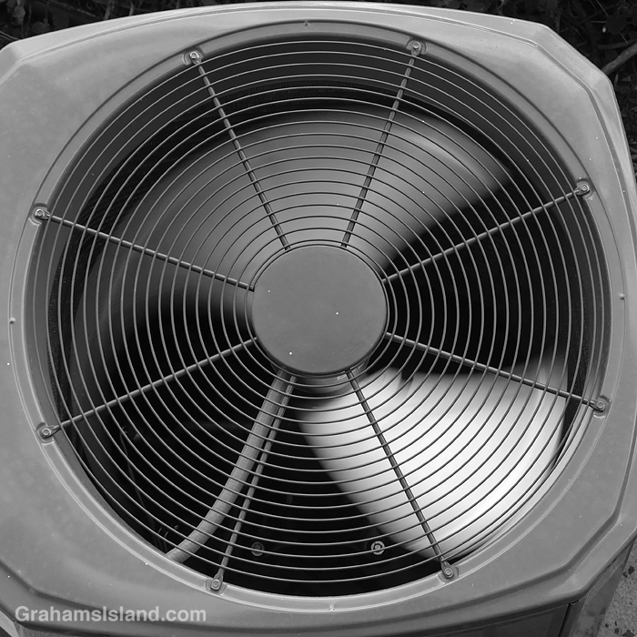 Black and white image of a fan in Hawaii
