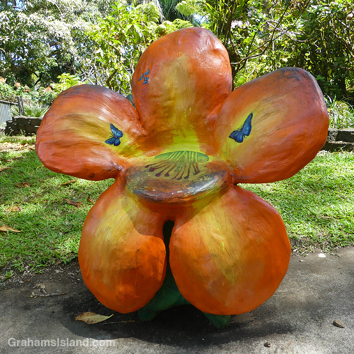 A seat at Panaewa Zoo in Hilo, Hawaii