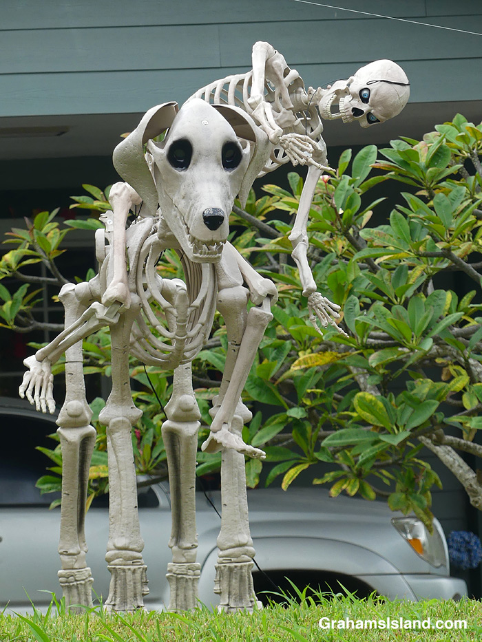 Halloween decorations in Kapaau, Hawaii