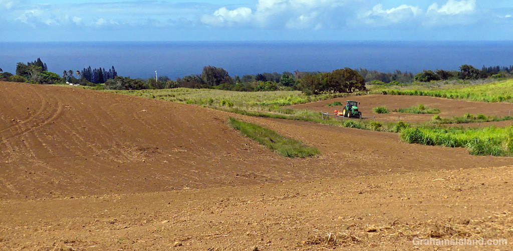 A harrowed field in Hawaii