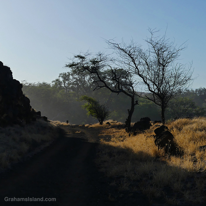 A trail near Mahukona in Hawaii
