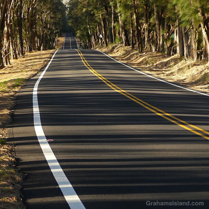 Shadows on the road between Waimea and North Kohala in Hawaii