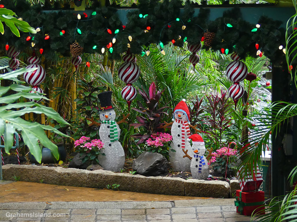 A Christmas scene at Foster Botanical Garden in Hawaii