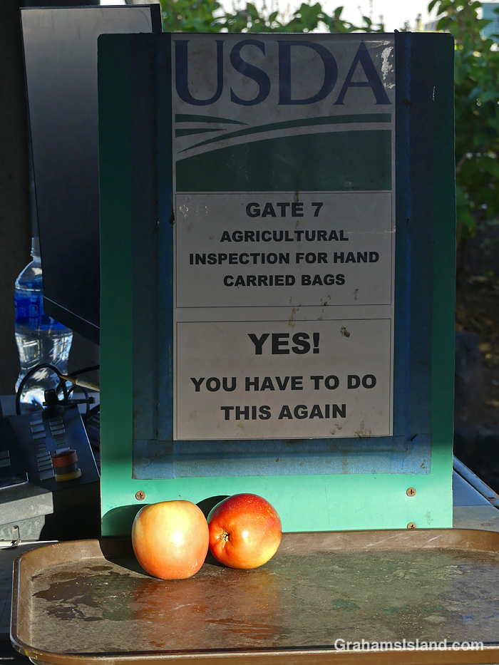 Apples in a tray at Kailua Kona airport, Hawaii