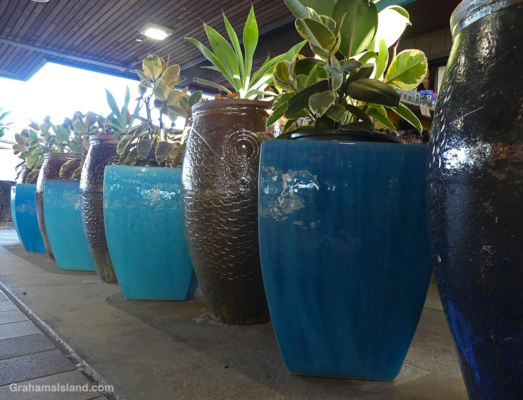 Planters at Kailua Kona Airport, Hawaii