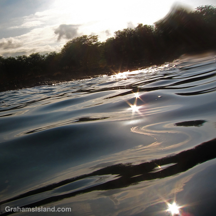 Sun sparkles on the water in Hawaii
