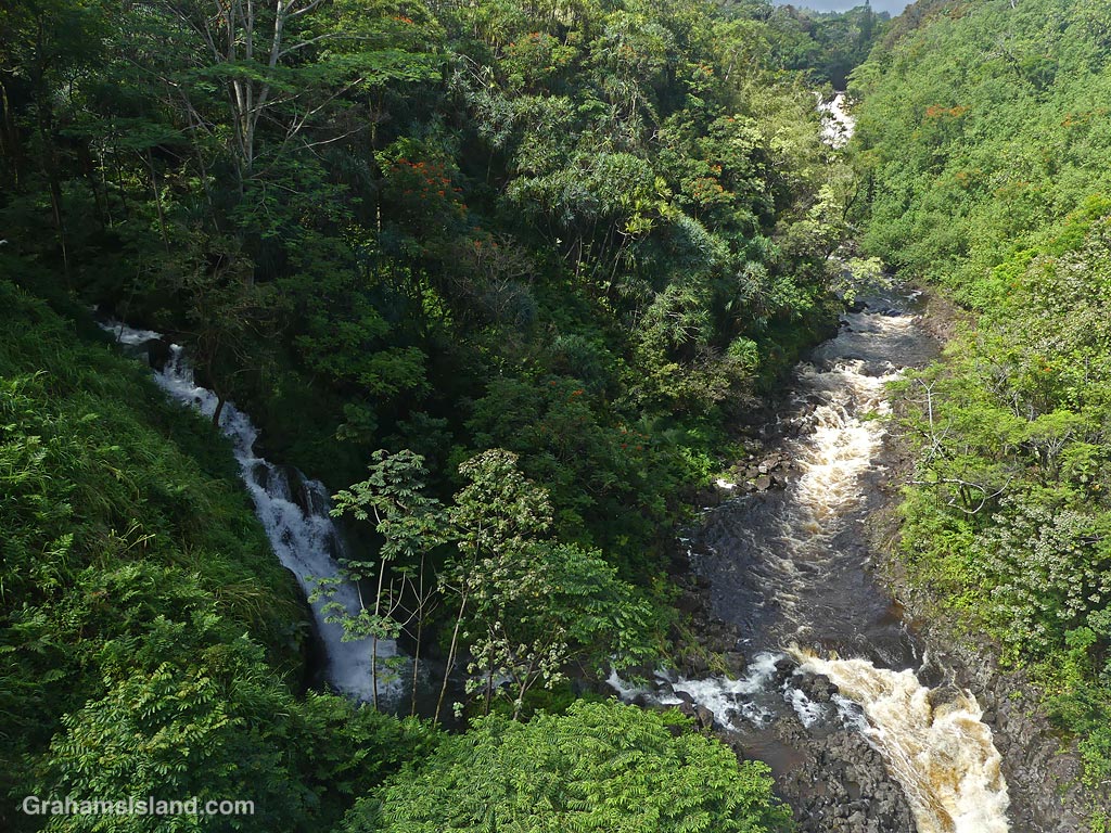 Umauma stream on the Big Island, Hawaii