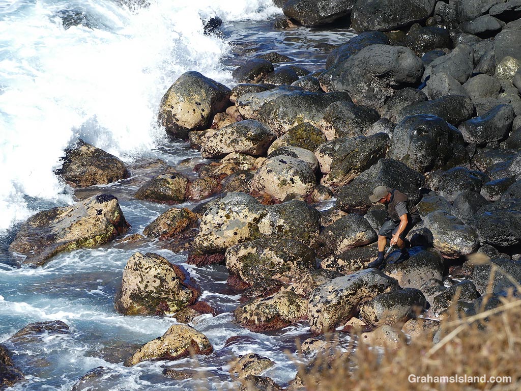 An Opihi picker on the coast of Hawaii