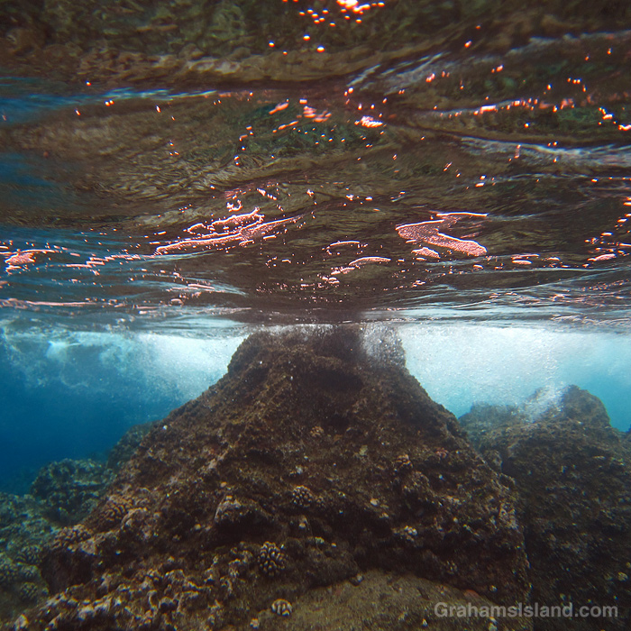 A rock in the waters off Hawaii