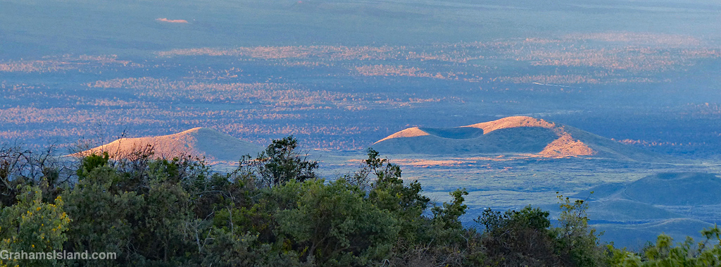 Early morning pu'us on the slopes of Mauna Kea in Hawaii