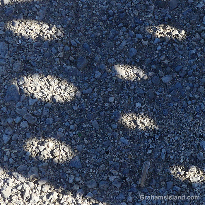 Shadows on a beach in Hawaii