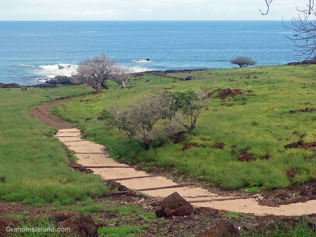 Trail repair at Lapakahi State Historical Park
