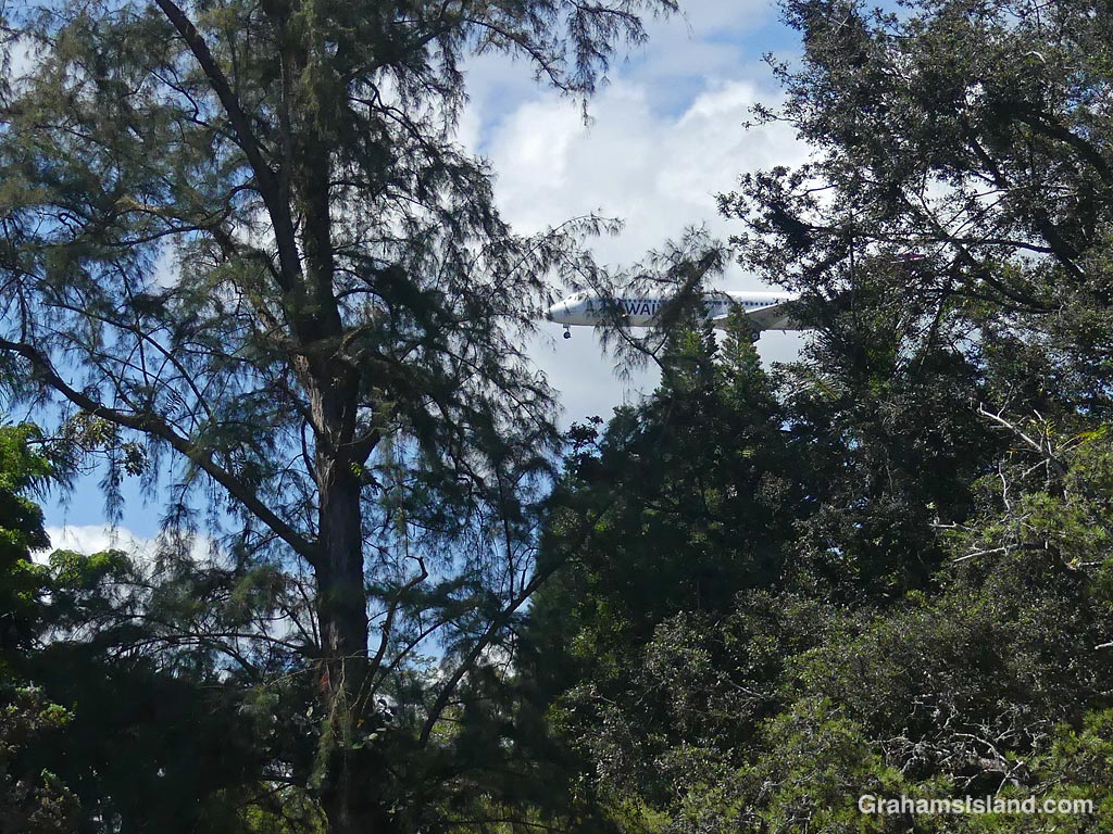 A plane coming in to land seen from Liliuokalani Park in Hilo, Hawaii