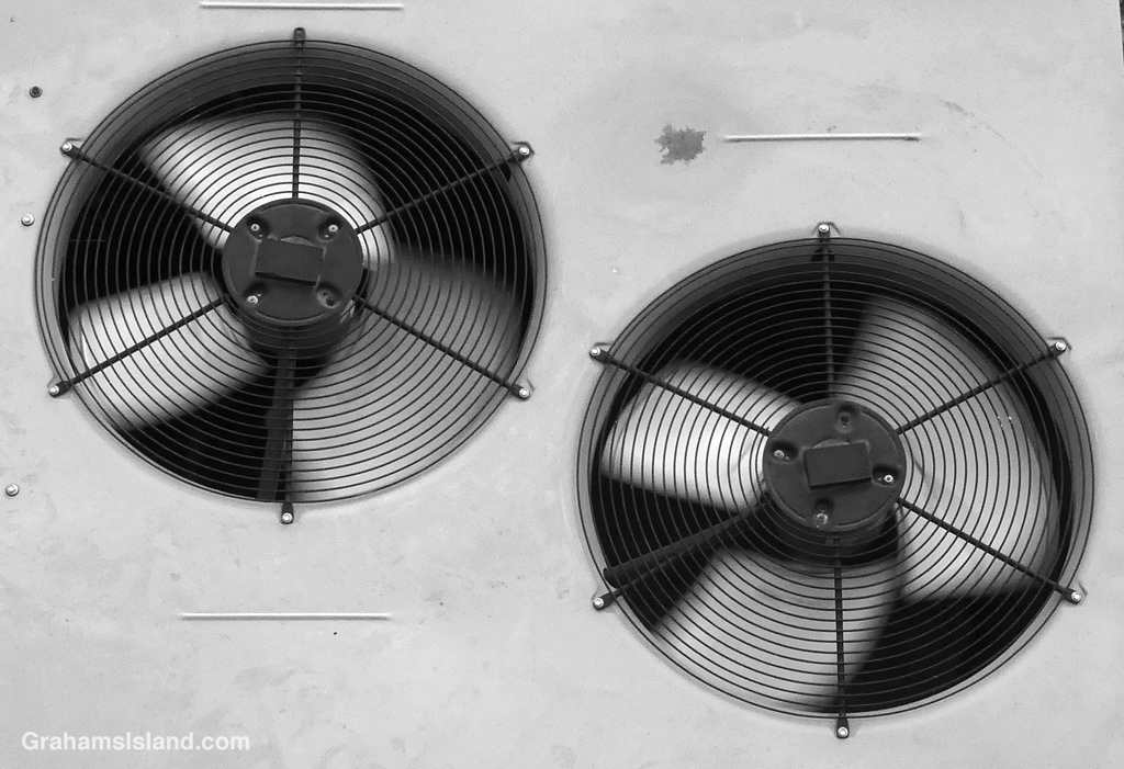 Black and white image of two fans in Hawaii
