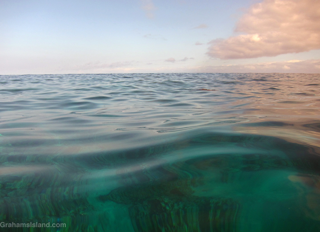 A view above and below the waters off Hawaii