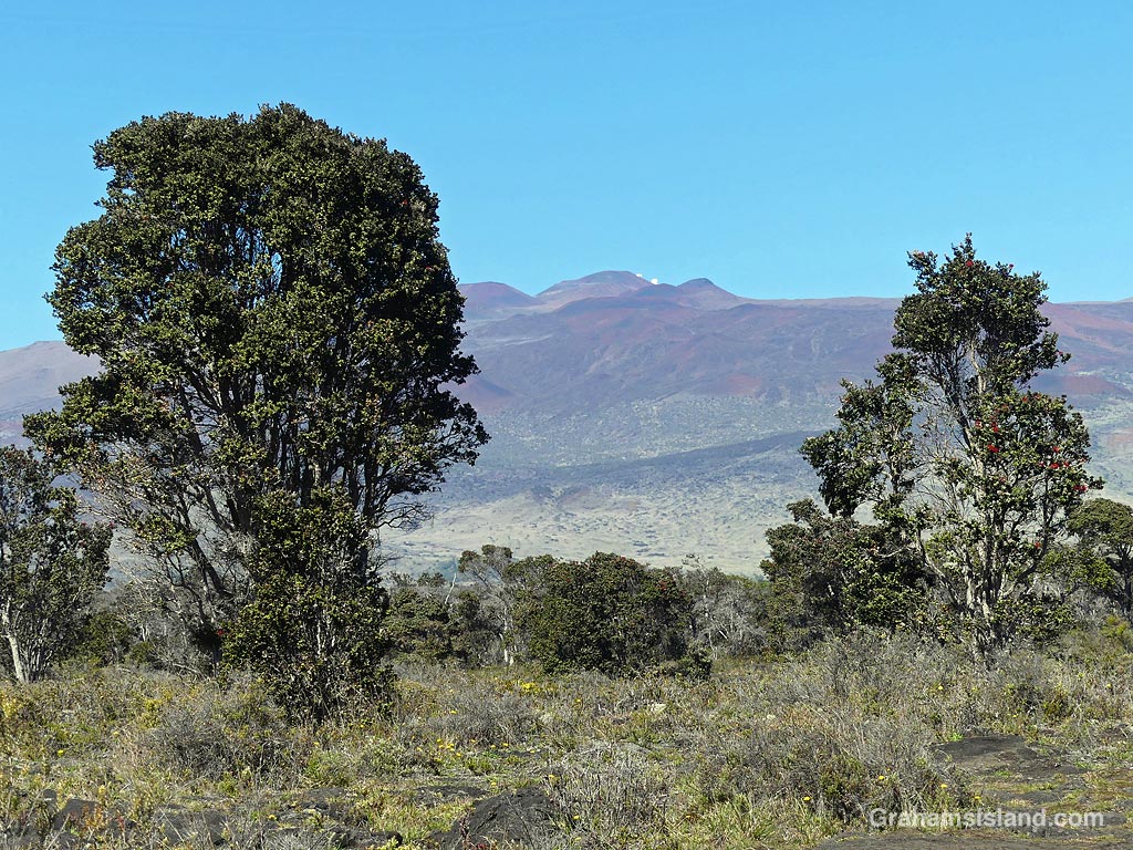 A view of Mauna Kea from the Pu'u O'o Trail on the Big Island, Hawaii