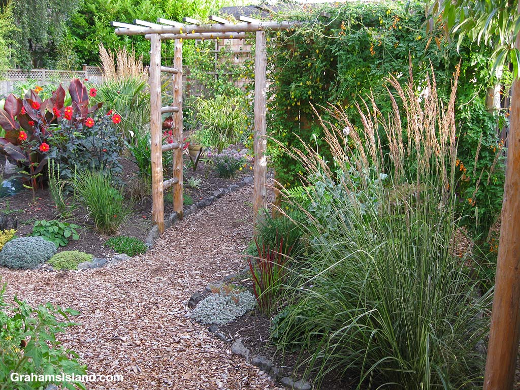 Tropical plants in a garden in Port Townsend, Washington