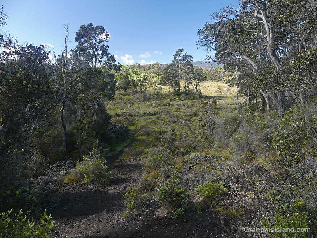 A view of the Pu'u O'o Trail on the Big Island, Hawaii