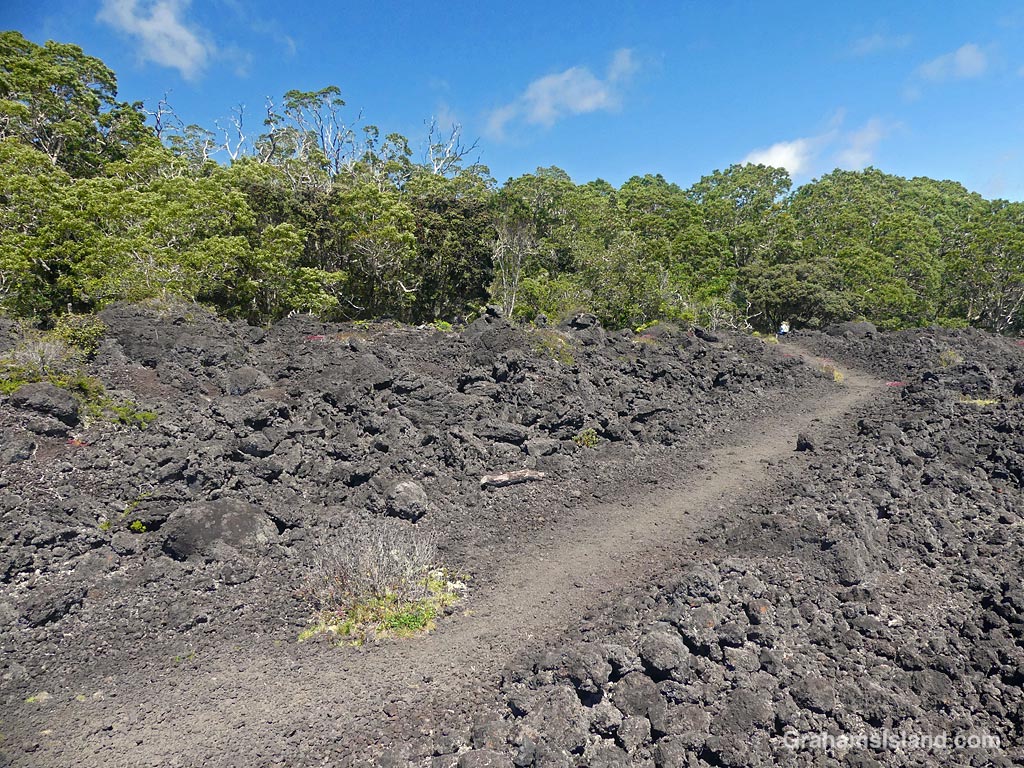 A view of the Pu'u O'o Trail on the Big Island, Hawaii