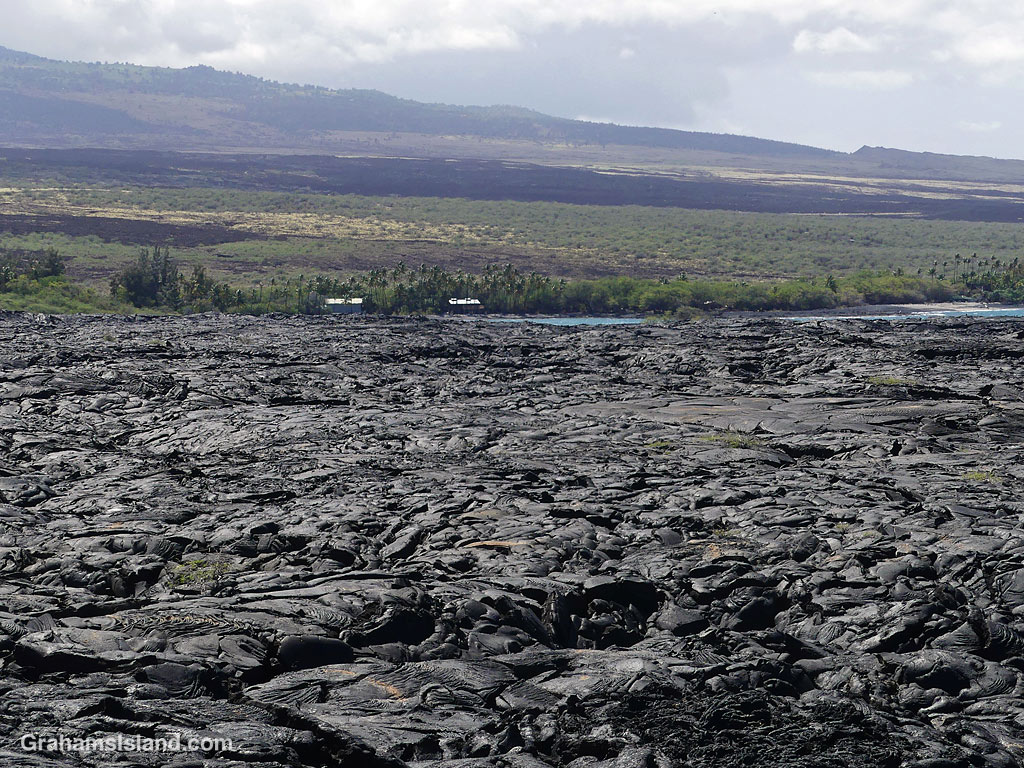 Lava fields near Kiholo, Hawaii