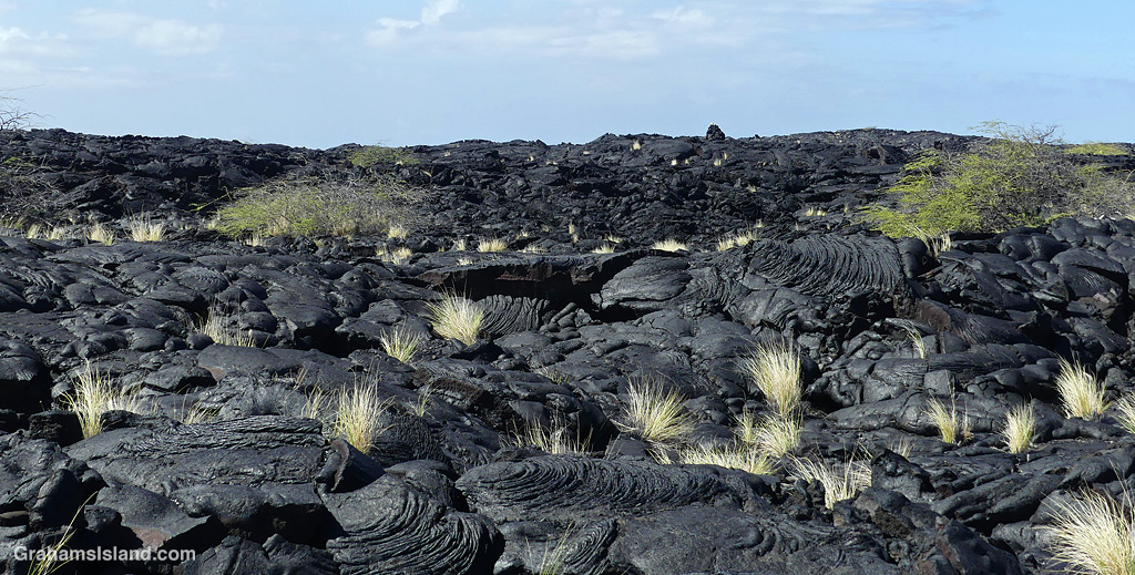 Lava fields near Kiholo, Hawaii
