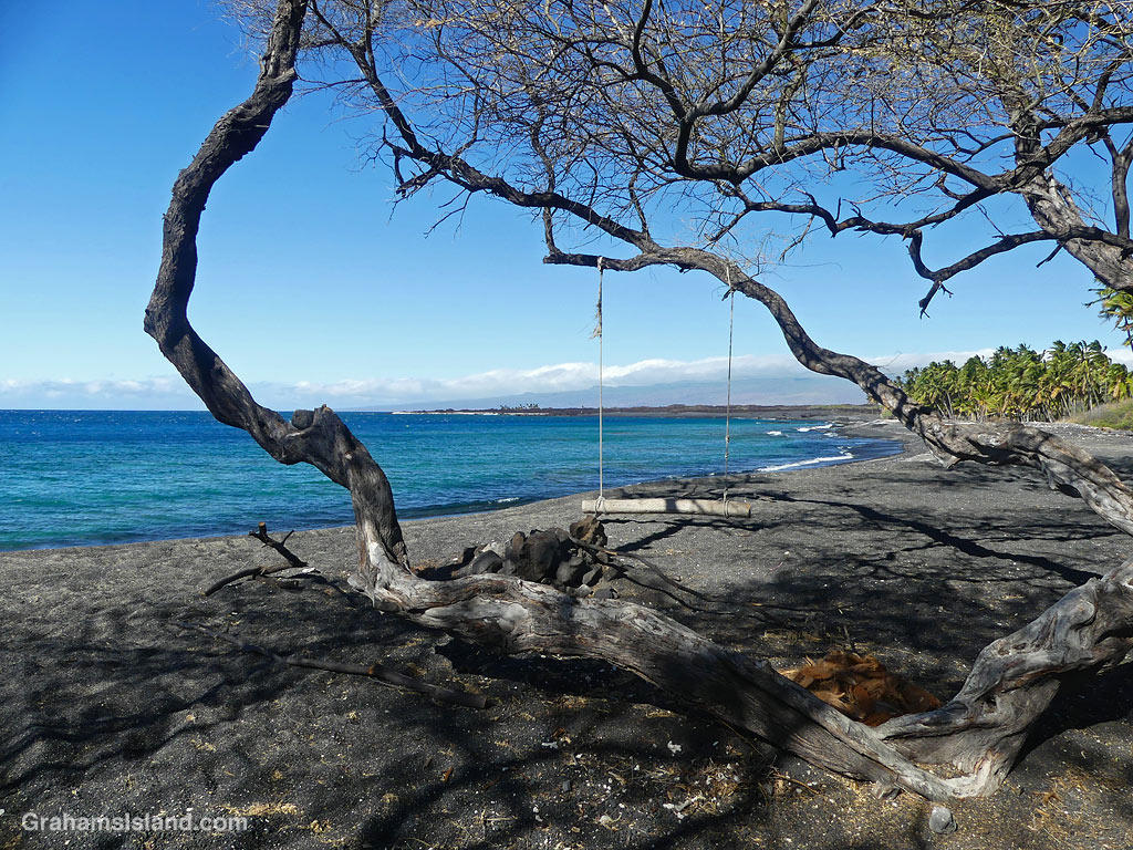 A swing on the beach at Keawaiki, Hawaii
