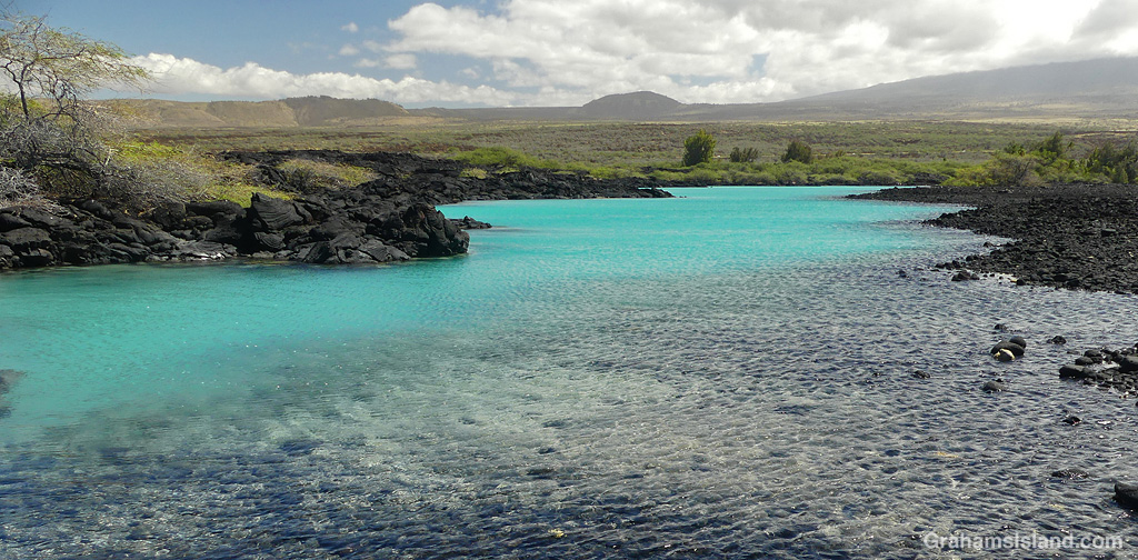 A view of the lagoon at Kiholo, Hawaii