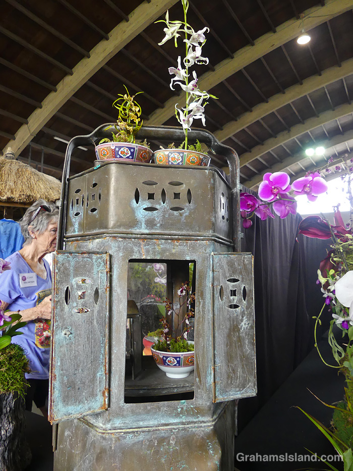A planter at the 2026 Hilo Orchid Show in Hawaii