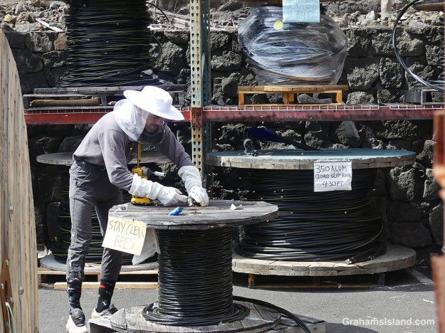 A beekeeper removes the top of a spool of wire where bees have made a hive in Hawaii