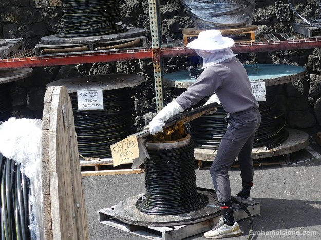 A beekeeper removes the top of a spool of wire where bees have made a hive in Hawaii