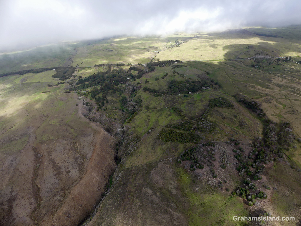 A gully on the slopes of Kohala Mountain in Hawaii