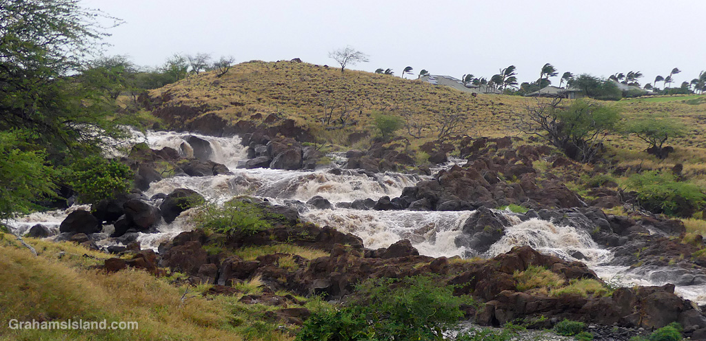 The Waimea River running strong during Hurricane Lala