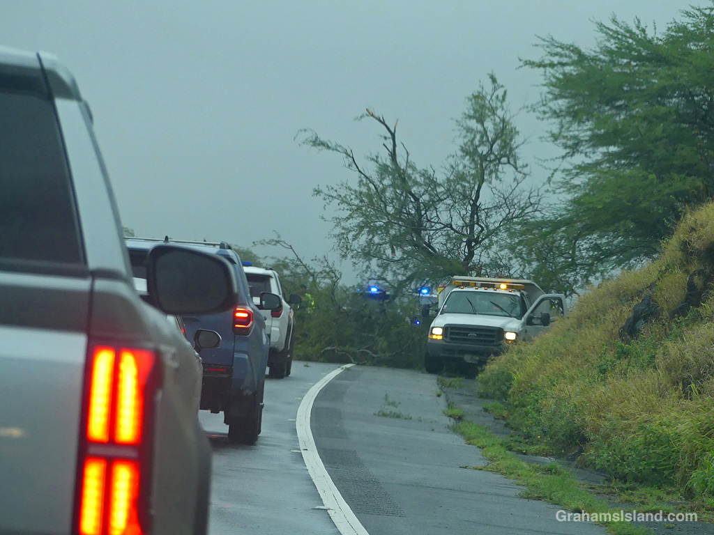 A tree, downed by Hurricane Lala, blocks the road in North Kohala, Hawaii.