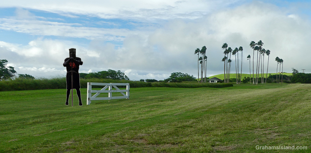 The last standing section of a fence blown down by Hurricane Lala in Hawaii, with Monty Python's Black Knight standing next to it.