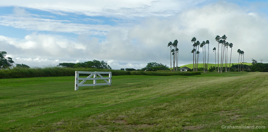 The last standing section of a fence blown down by Hurricane Lala in Hawaii
