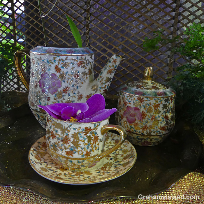 A tea set with an orchid in the cup