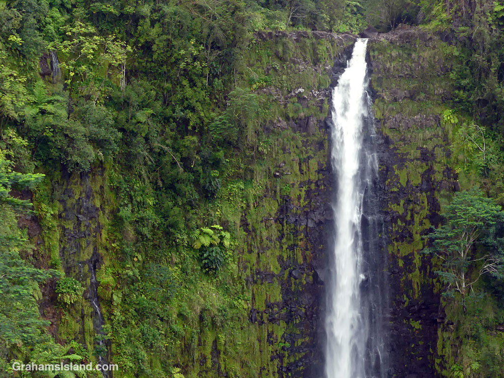 The falls at Akaka Falls State Park in Hawaii