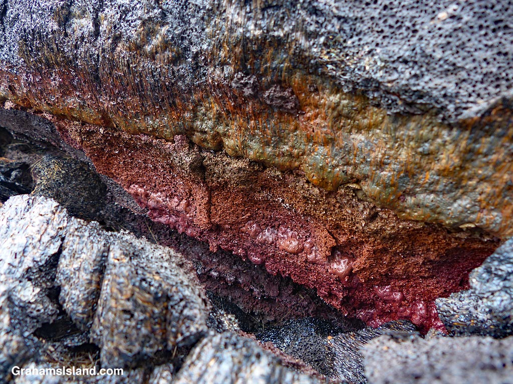 Colorful lava layers at Hawaii Volcanoes National Park