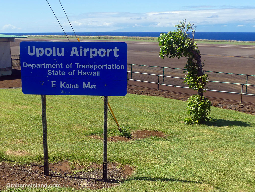A misshapen Milo tree at Upolu Airport, Hawaii