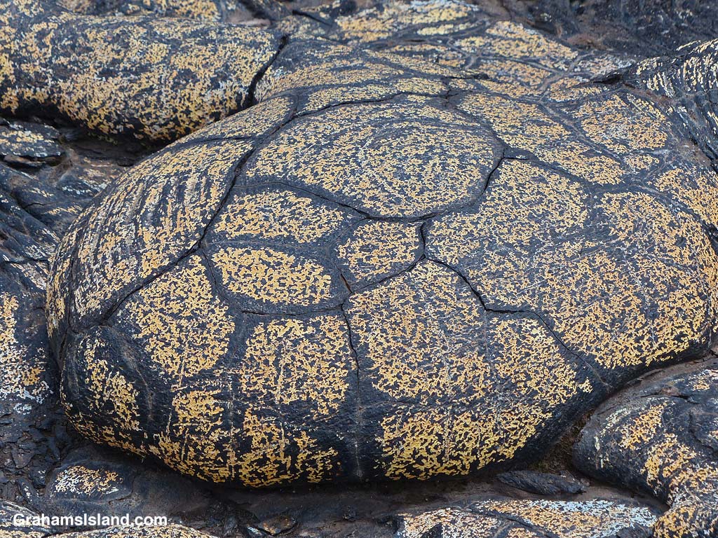 Yellow Lava at Hawaii Volcanoes National Park